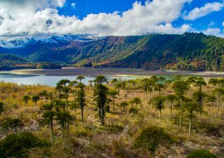 Naturaleza en su esplendor: descubre 5 parques y reservas de Chile ideales para visitar en noviembre