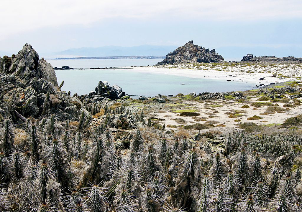 Reserva Nacional Pingüino de Humboldt. Reserva Nacional Pingüino de Humboldt.