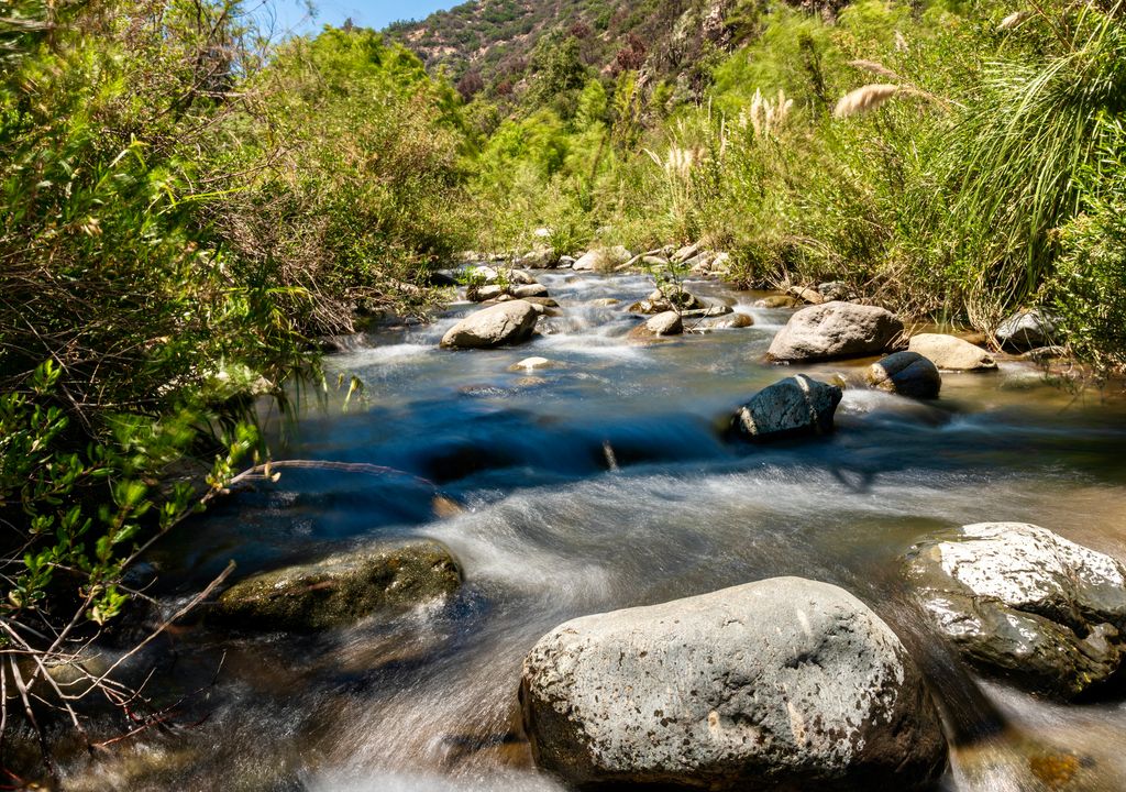 Parque Nacional Río Clarillo. Parque Nacional Río Clarillo.