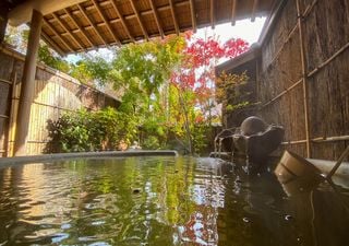 Tendencias de bienestar con foco en la naturaleza, procedentes de Japón, que son fáciles de incorporar a la vida diaria