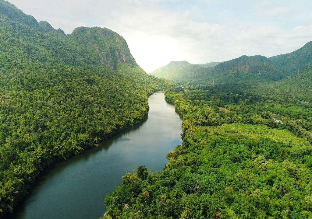 paisaje de bosque tropical