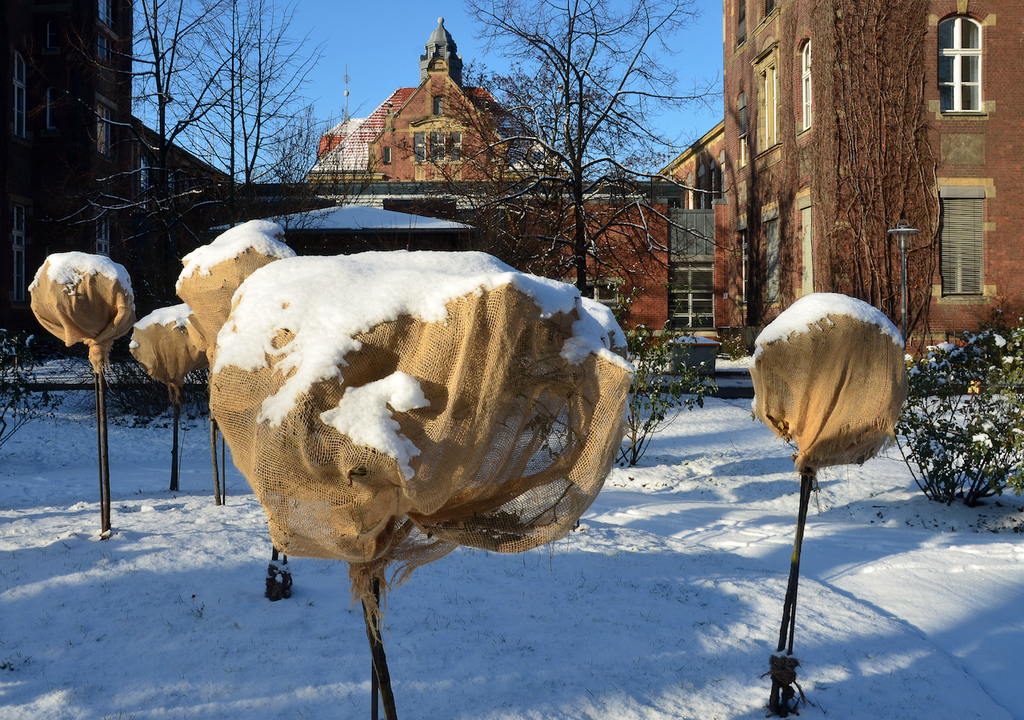 Wie plastikfreie Materialien Pflanzen schützen und dem Garten Struktur durch Kälte und Schnee geben sieht man hier.