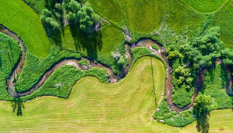 Naturschutz im G&uuml;nztal: Was die Renaturierung des l&auml;ngsten Flusssystems Bayerns f&uuml;r die Region bedeutet