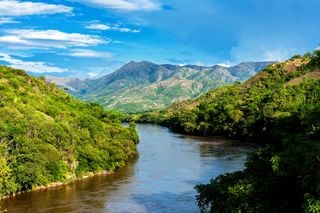 Navegar el r&iacute;o de 'El amor en los tiempos del c&oacute;lera': el crucero que recorre la Colombia de Gabriel Garc&iacute;a M&aacute;rquez