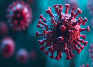 NB.1.8.1 : faut-il craindre le nouveau variant du Covid-19, arrivé en France ? Peut-il contourner l'immunité vaccinale ?