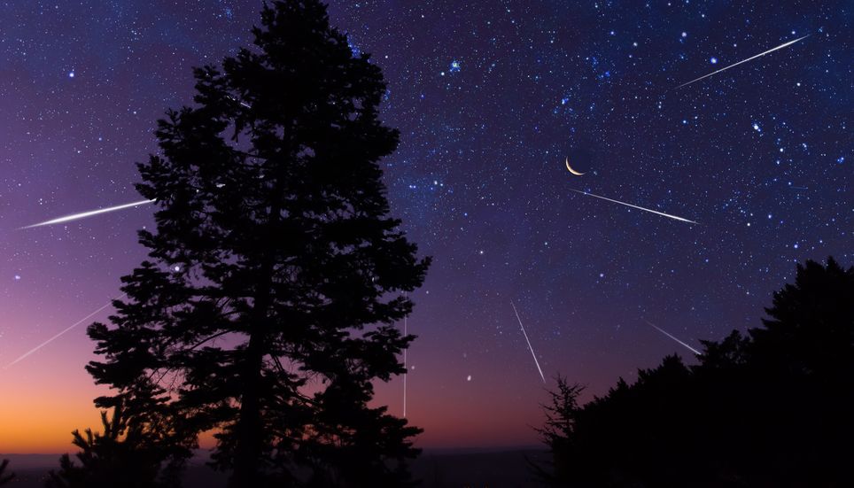 Orionides pluie étoiles filantes ciel Voie lactée Astronomie Foret