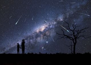     Ne manquez pas le pic de la plus belle pluie d'étoiles filantes de l'année ! 