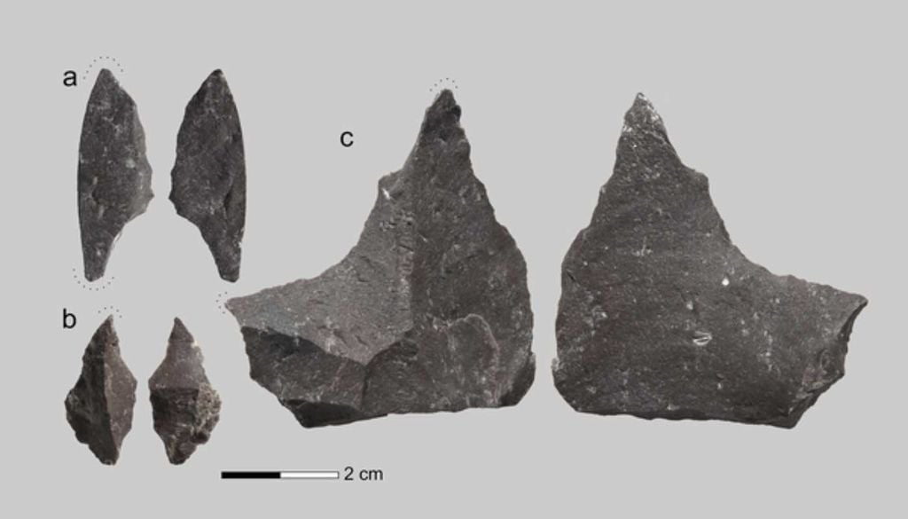 Ferramenta dentária Os cientistas acreditam que estas pequenas ferramentas de pedra eram usadas em tratamentos dentários primitivos. Fonte: Alisa V. Zubova et al.