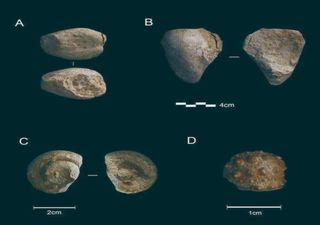 Neanderthals, our closest early human relatives, were the first collectors of objects, research suggests