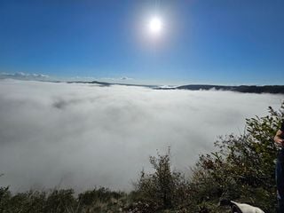 Nebel-Lotterie am 1. Adventswochenende in Bayern. Experte Markus Köss: "Eisiges Dauergrau oder Sonnenschein und mild?"