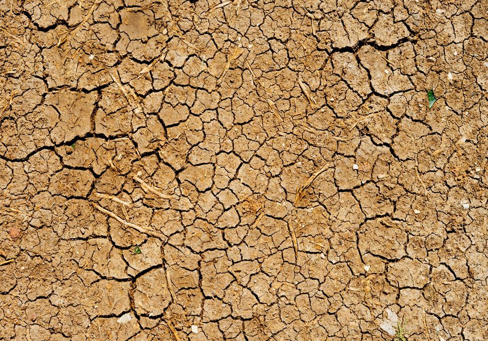 Sequia Lluvia Cultivos Sequia Lluvia Cultivos