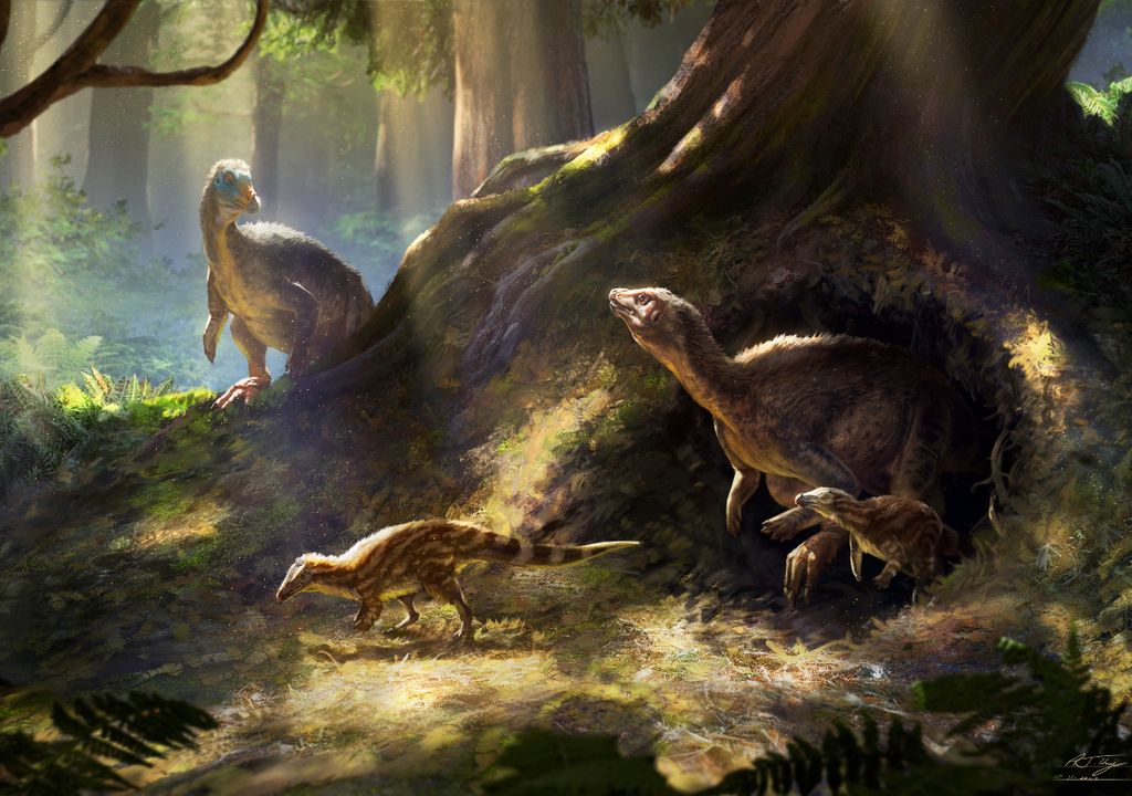 Neglected dinosaur is anything but boring