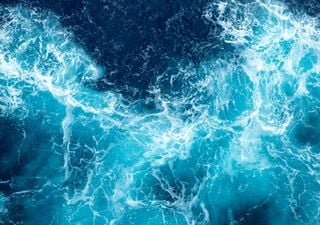 Nehmen wir die Umweltsch&auml;den der Ozeane noch hinzu, sind die Klimasch&auml;den mehr als doppelt so hoch