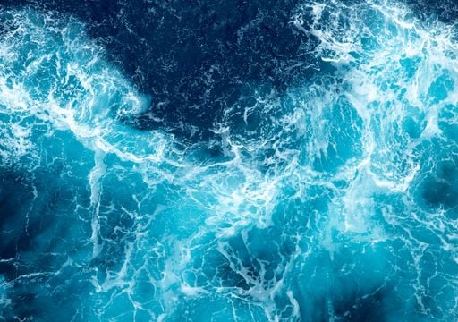 Nehmen wir die Umweltsch&auml;den der Ozeane noch hinzu, sind die Klimasch&auml;den mehr als doppelt so hoch