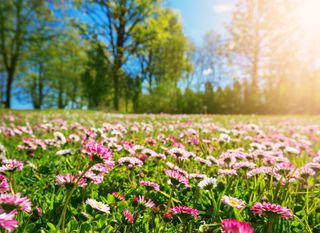 Tempo in miglioramento e giornate soleggiate, possibili cambiamenti nel fine settimana