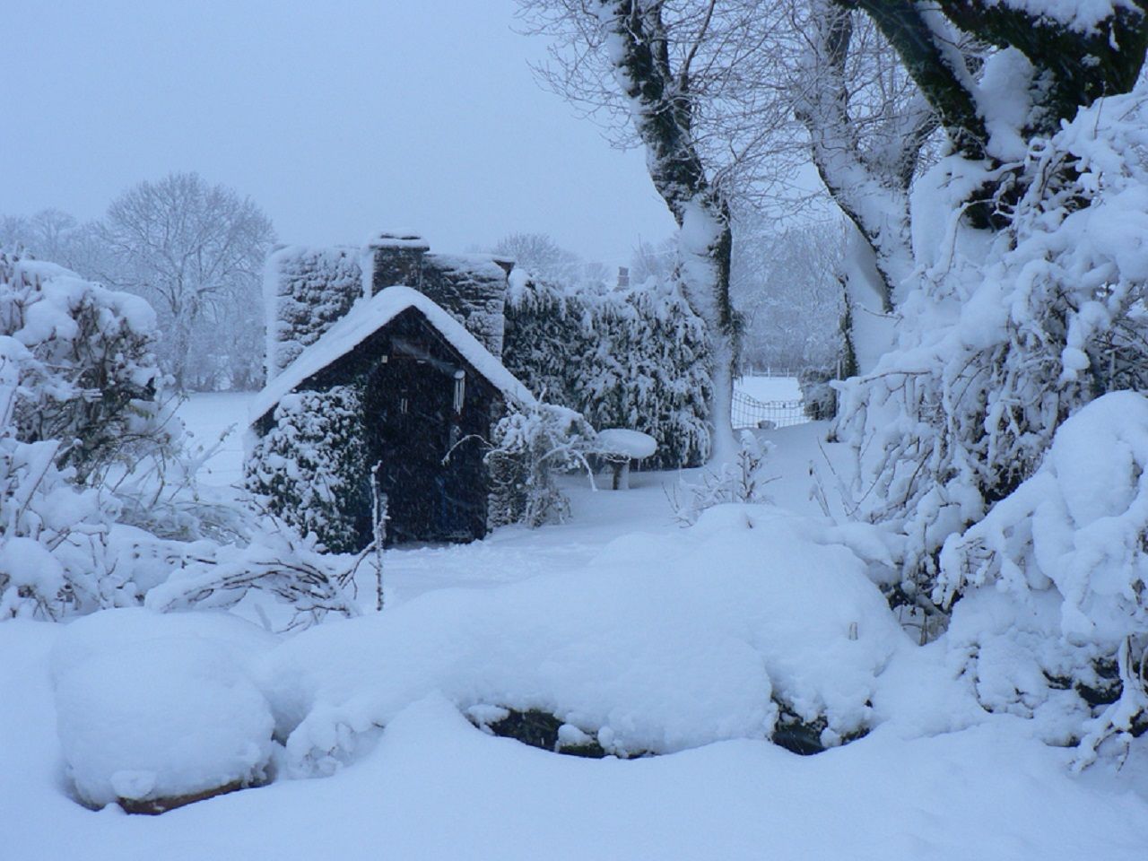 Neige De 40 A 80 Cm Tombes En 48 Heures Parfois A Basse Altitude