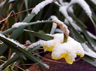 Neige, gel, vague de froid : est-ce encore possible au mois d’avril ?