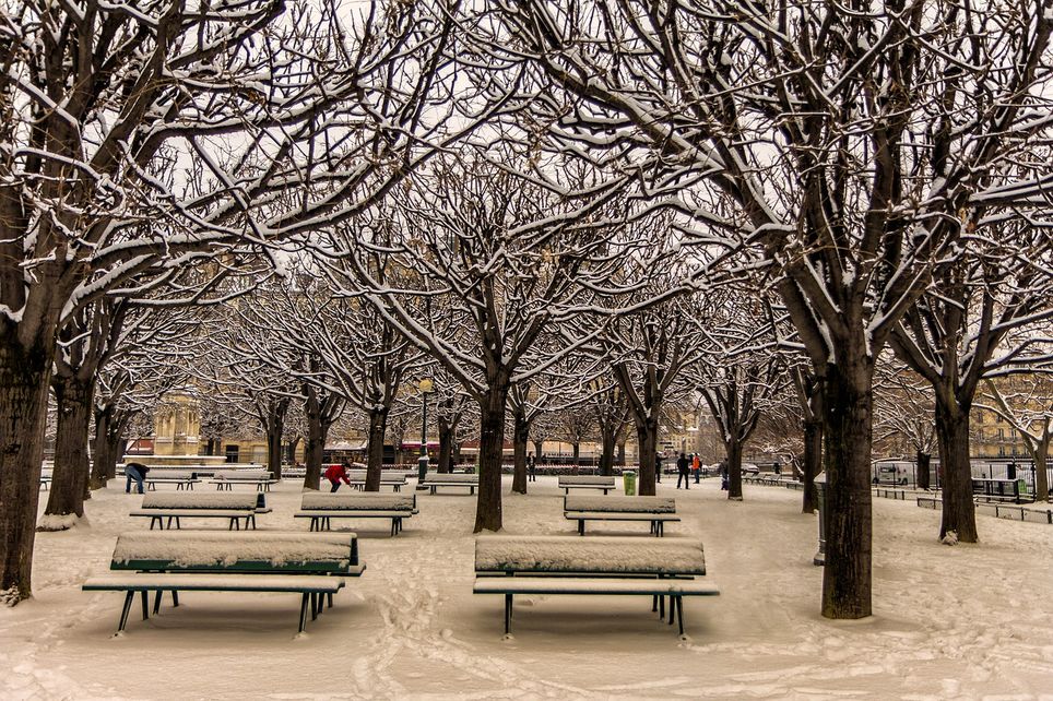 neige neige