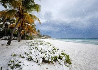 Snow in the Southern United States: A truly exceptional phenomenon?