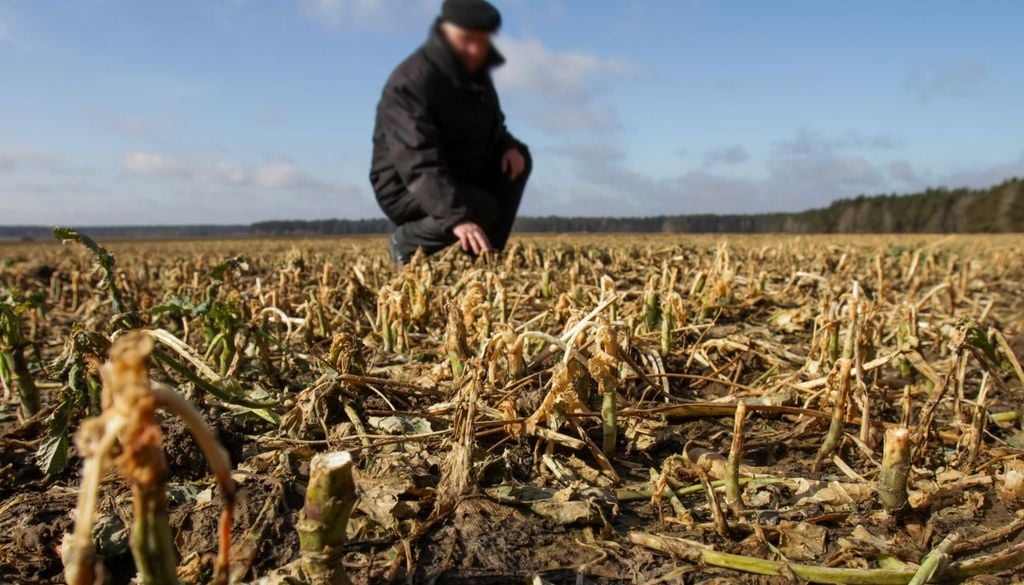 Ondate di calore. Il Sud Italia rimane una delle aree più vulnerabili d’Europa agli effetti del clima che cambia. Per mitigare i rischi serve un piano concreto e immediato, attraverso l’efficientamento delle reti idriche e pratiche di agricoltura sostenibile.