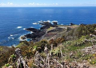 Nem a chuva, nem o frio arrefecem as águas desta praia secreta em Portugal