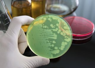 Nés entre 2008 et 2017 : vous avez plus de risques de développer un cancer de l'estomac. Découvrez pourquoi !