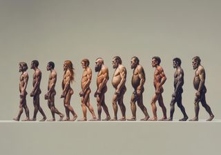 Neue Entdeckungen zeigen, wie Homo erectus länger in extremen Klimazonen überlebte als bisher gedacht