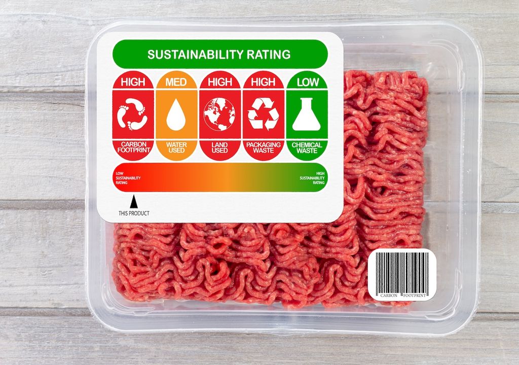 Reduzierung, Rindfleischproduktion, wohlhabende Ländern, Förderung der Waldwiederherstellung, CO2