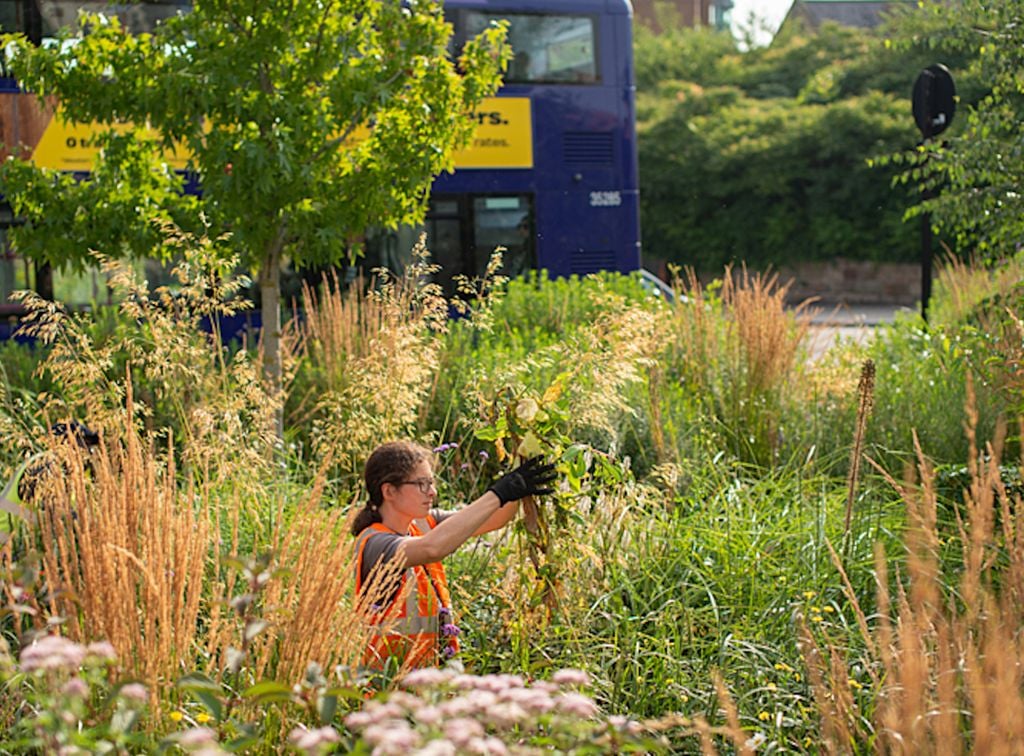 Klimafolgen entgegenwirken: Sheffield Klimafolgen entgegenwirken: Sheffield