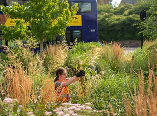 Neue Studie: Mehr als 70 Prozent der städtischen Klimaschutzpläne sind lückenhaft