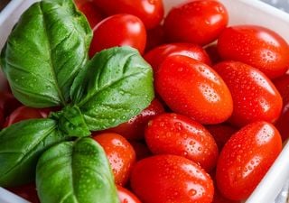 Neue Studie: Pflanzenbetonte Ernährung verlängert Lebenserwartung bei Typ-2-Diabetes