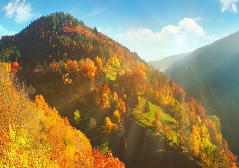 Herbstwetter kommt zurück Herbstwetter kommt zurück