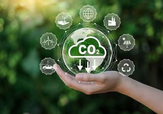 Neuer Ariadne-Report zu klimapolitischen Leitkonzepten