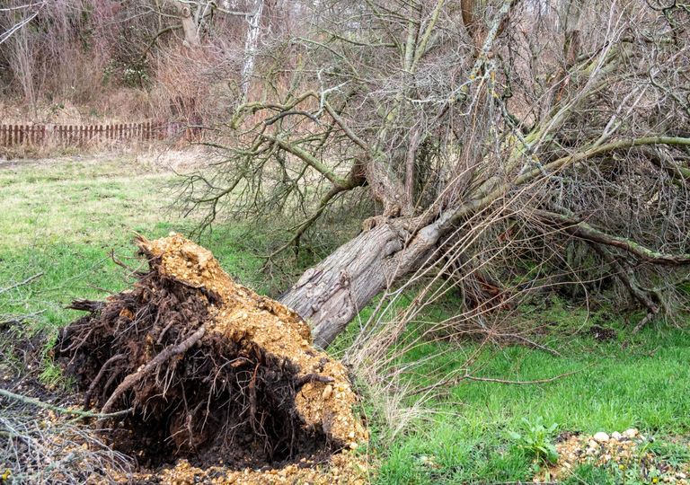 Unwetter Unwetter