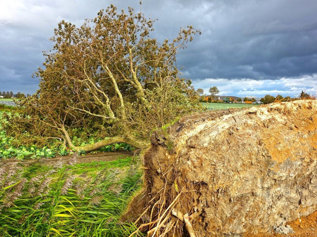 Ein Sturm nach dem anderen Ein Sturm nach dem anderen