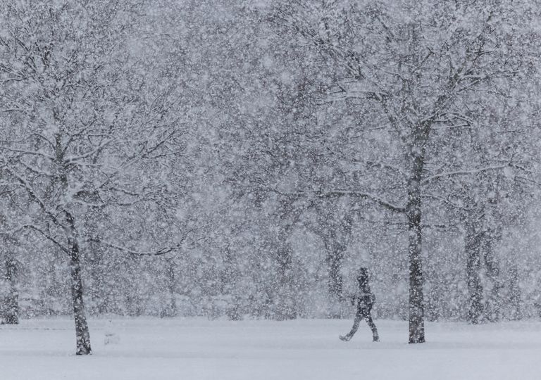 Schneefall Schneefall