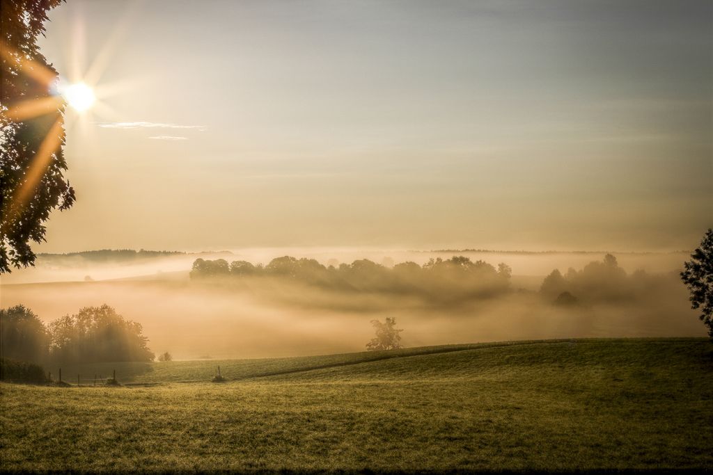 Sonne und Nebel Sonne und Nebel