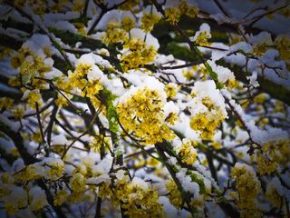 Neuer Wintereinbruch in der kommenden Woche!