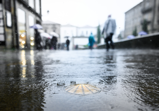 Neutralidad en el Pacífico: un desafío para las predicciones climáticas en Chile central