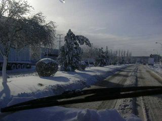 Nevadas de enero en Burgos: ¿Qué dirección tomo?