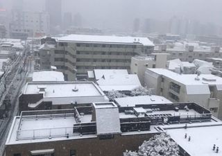 Nevasca histórica deixa moradores de Tóquio assustados e encantados!