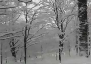 Neve e maltempo sull'Italia nel giorno di Santo Stefano, i video