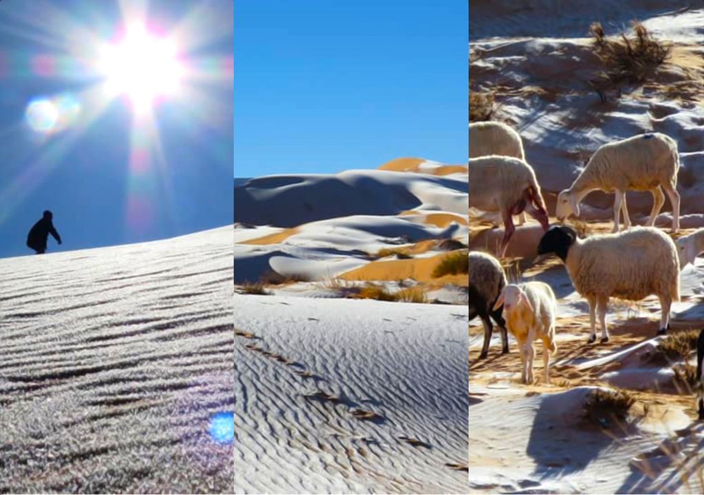 Snow in the Sahara desert.