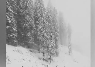 La neve è tornata sui monti d'Europa, i video dalle Alpi ai Pirenei