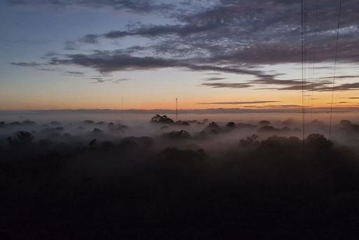Nevoeiro da Amaz&ocirc;nia transporta microrganismos que podem regenerar a floresta