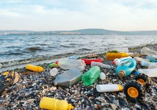 New antibiotics could be found amongst ocean plastic pollution