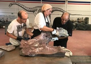 New Cretaceous Sauropod dinosaur discovered in the Iberian Peninsula