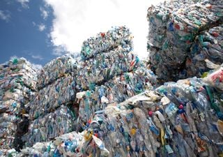 New UK law stamps down on plastic waste exports