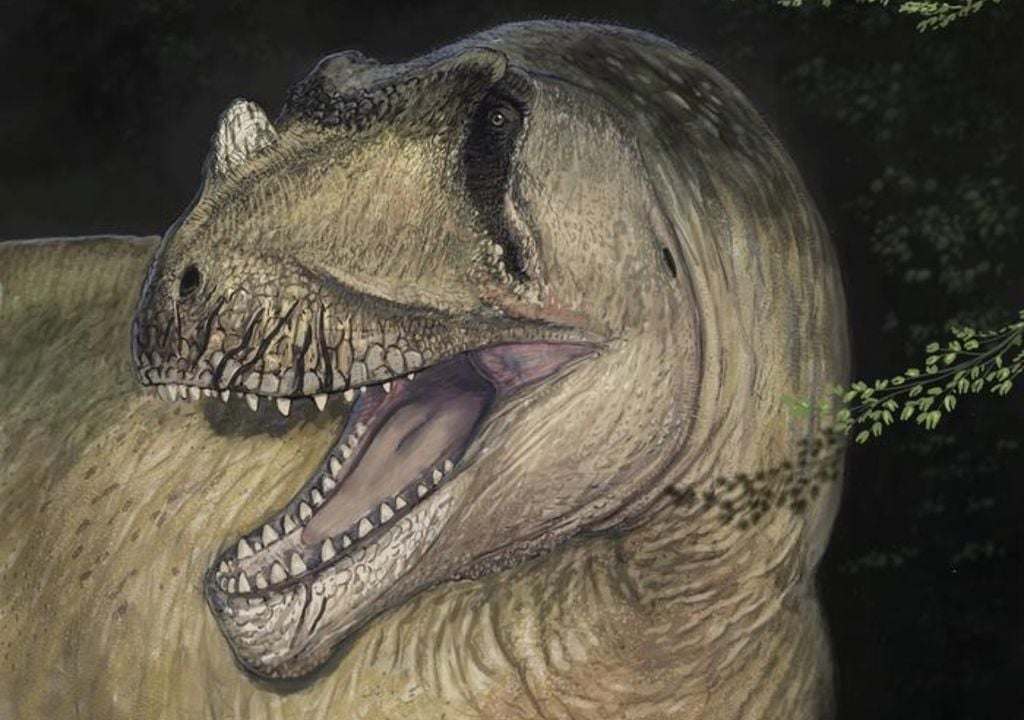 dinosaur reconstruction