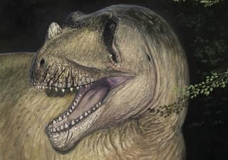 New predatory dinosaur revealed from Egyptian fossil destroyed by bombing